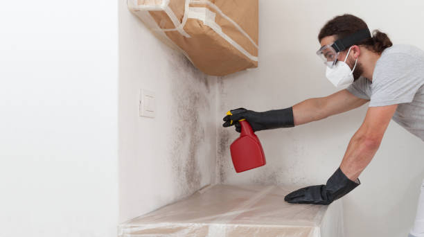 Professional Mold Removal technician working in Harrisburg, OR